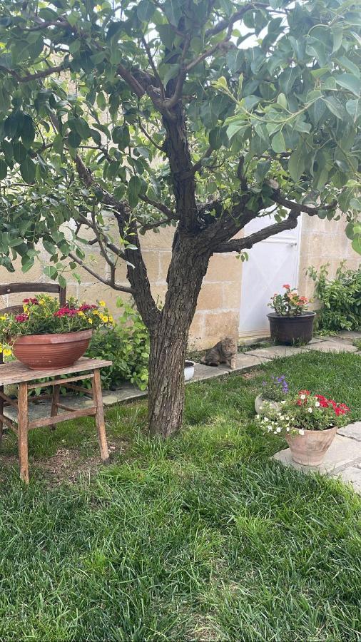 Bio&B Acquaviva Bed & Breakfast Otranto Luaran gambar